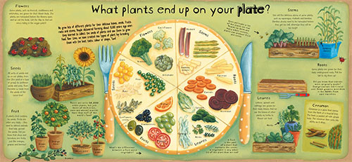 How Plants Work